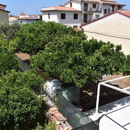 B&B Da Zio Peppe Cirella Exterior photo